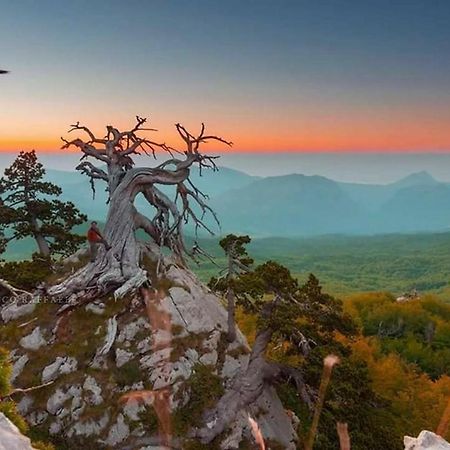 Il Vicoletto Bed and Breakfast Frascineto Εξωτερικό φωτογραφία