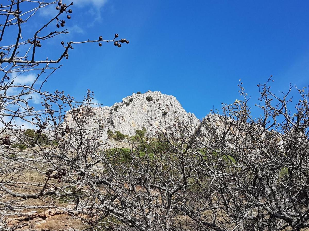 Il Vicoletto Bed and Breakfast Frascineto Εξωτερικό φωτογραφία