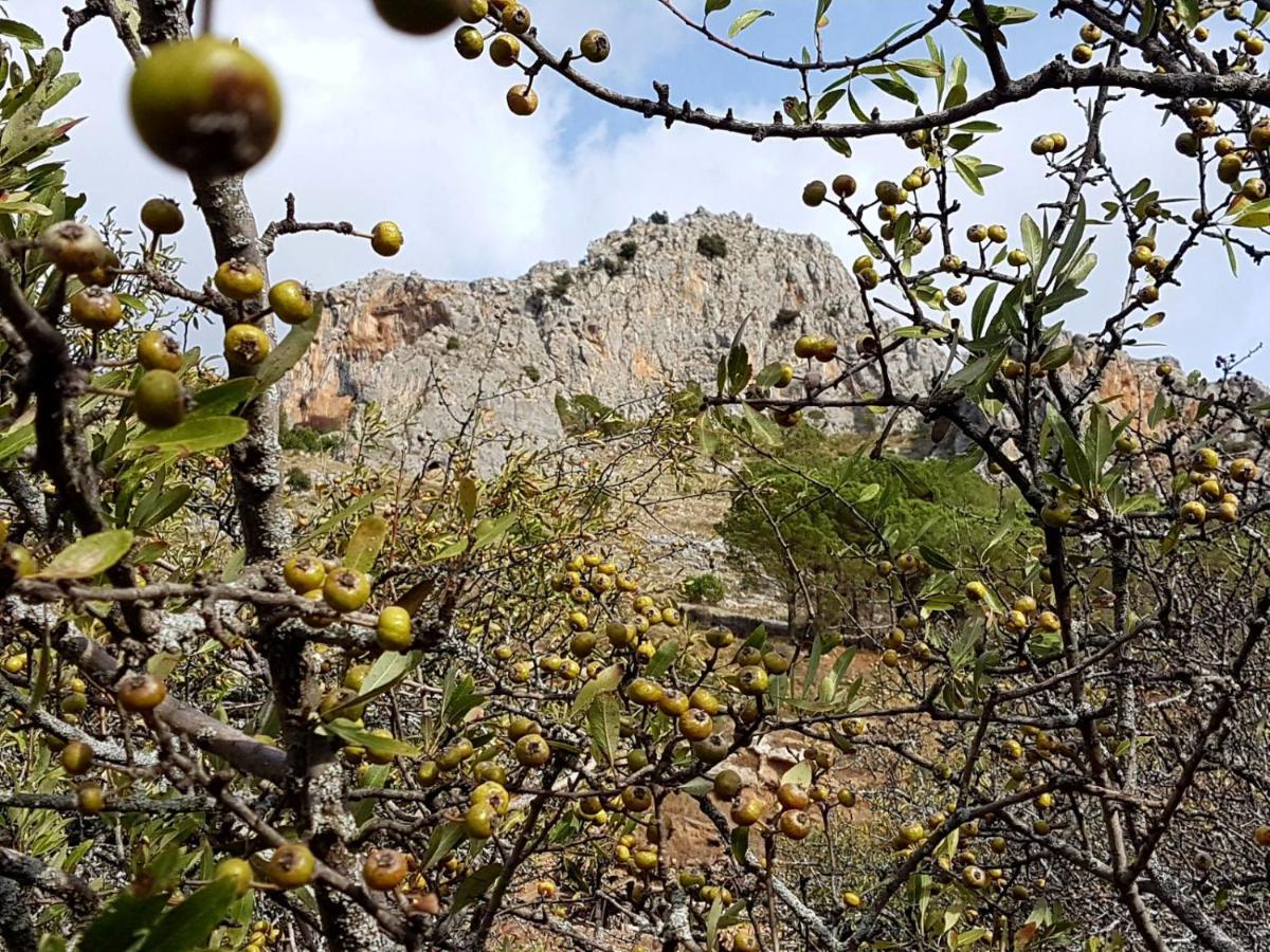 Il Vicoletto Bed and Breakfast Frascineto Εξωτερικό φωτογραφία
