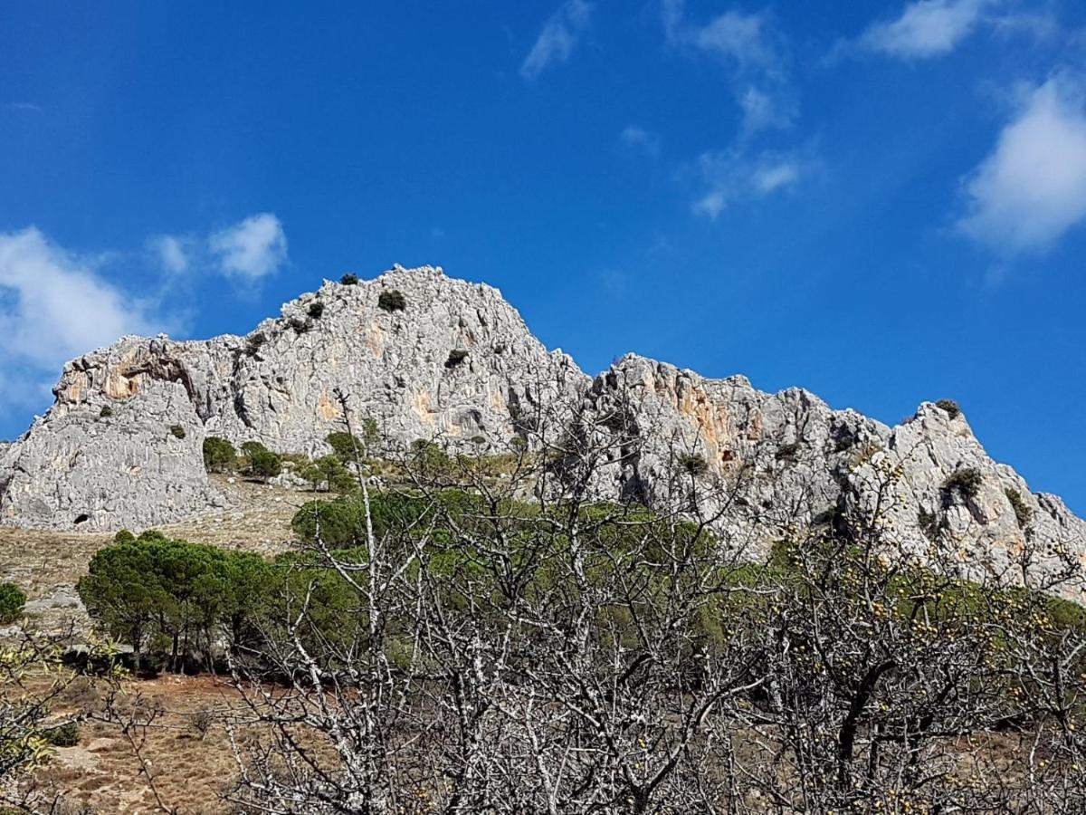 Il Vicoletto Bed and Breakfast Frascineto Εξωτερικό φωτογραφία
